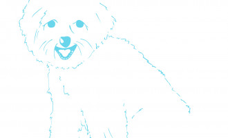 Sketch of Dog
