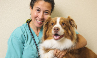 LazyTales Blog - LazyPaw Animal Hospital Frisco TX Veterinary