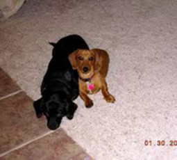Maggie and Tootsie
