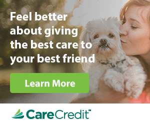 Learn More About CareCredit and how to help pay for your pets needs today.