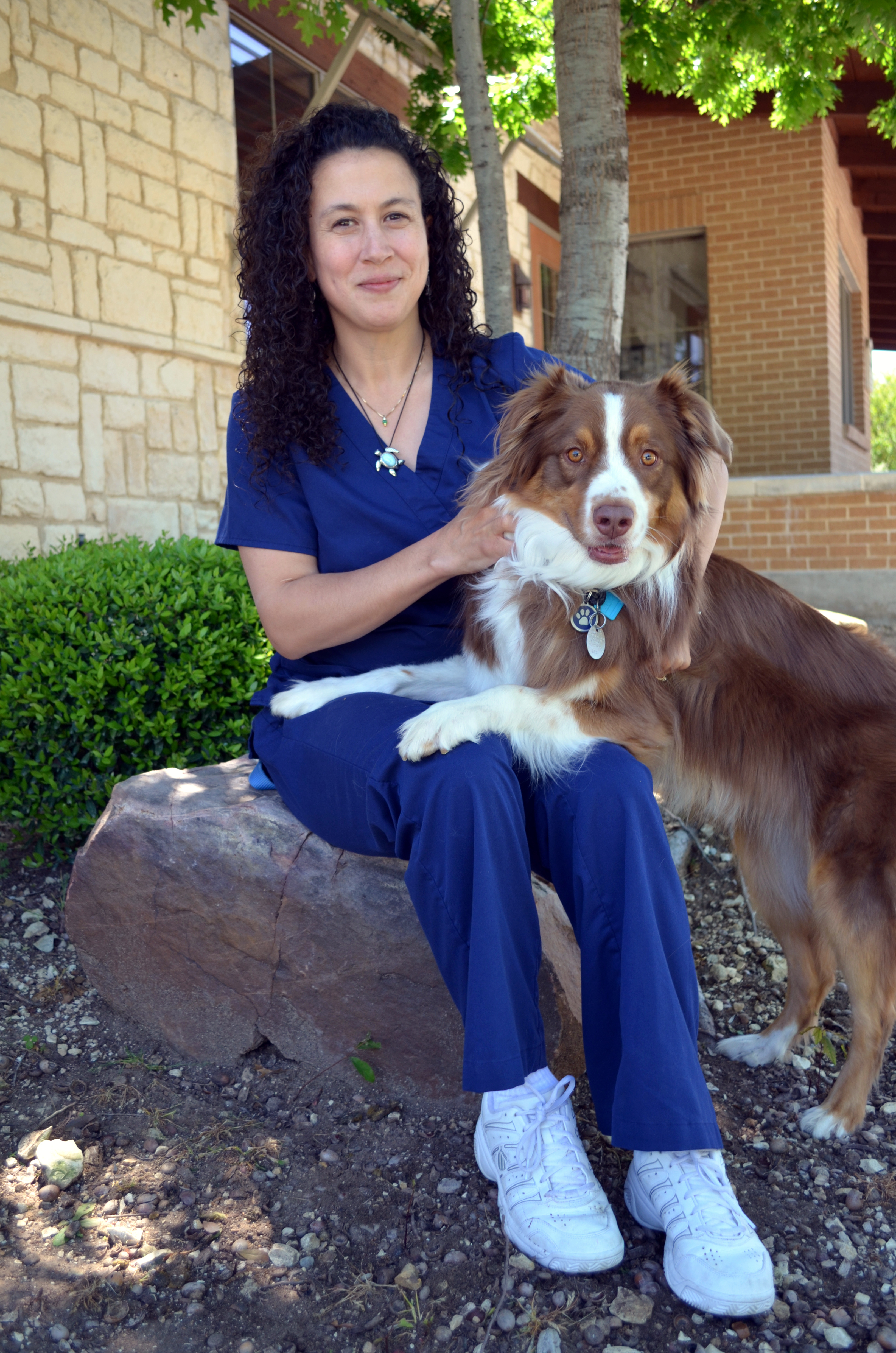 Meet the Vets at LazyPaw Animal Hospital in Frisco Texas