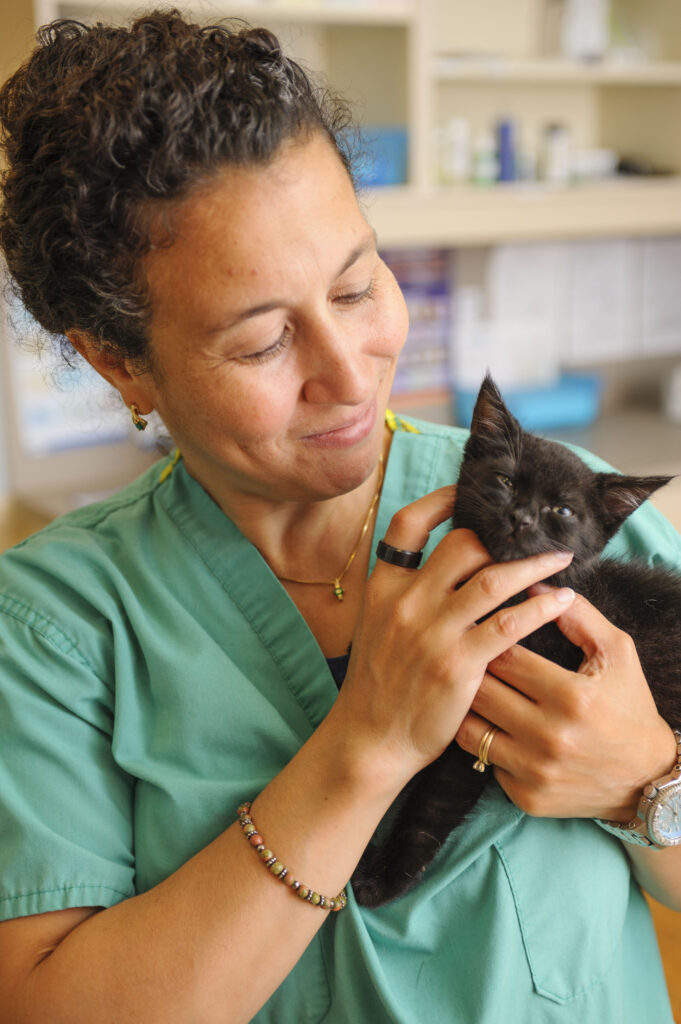 Frisco Veterinarian educates students for Fowler Middle School Career Day