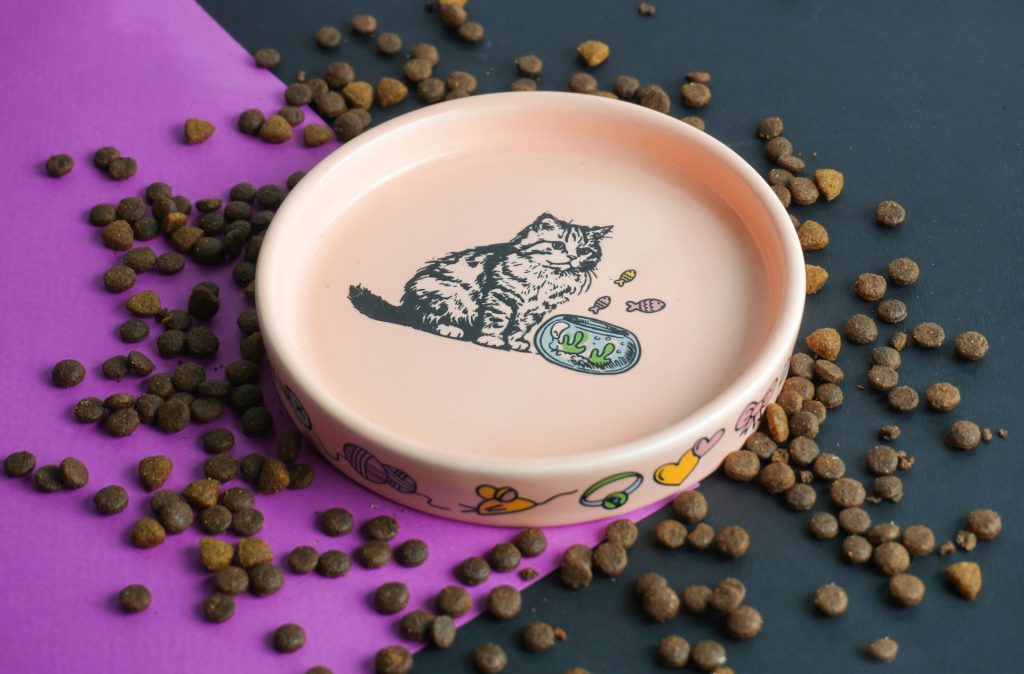Confused about your pet's diet? Explore the pros and cons of fresh food, kibble, and grain-free options to find the perfect fit for your furry friend!